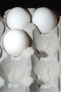 White Chicken Eggs