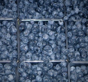 blueberry