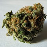 One last dance with Mary-Jane