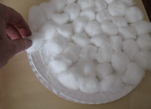 Mmm. Looks delicous. 
