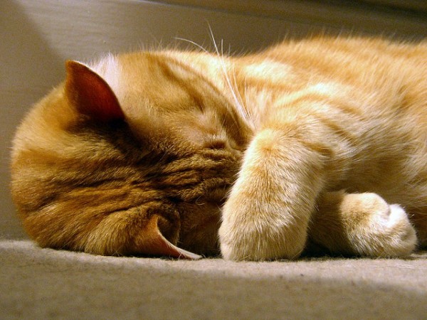 napping
