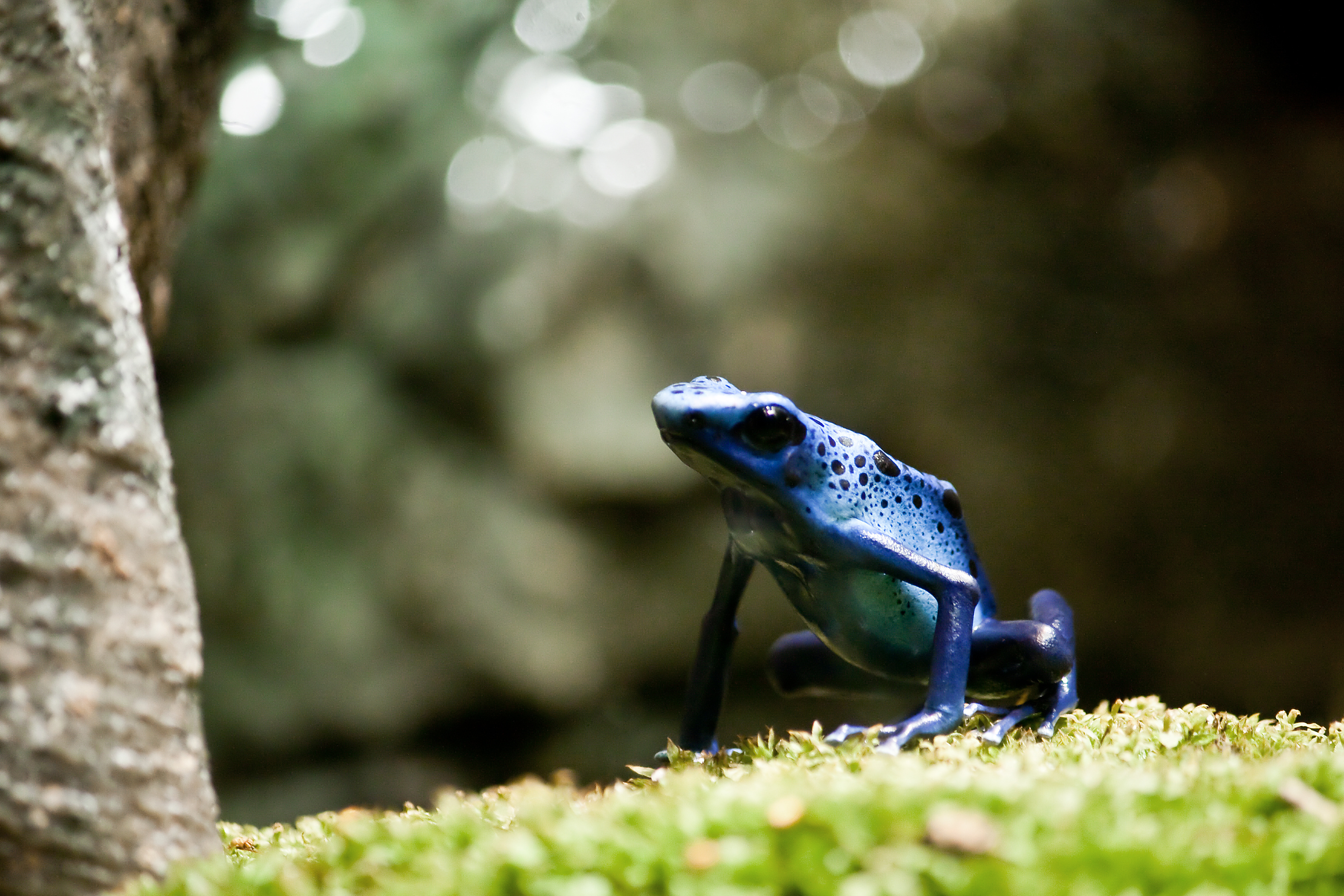 http://www.pacificprime.com/blog/wp-content/uploads/PDF-blue.jpg