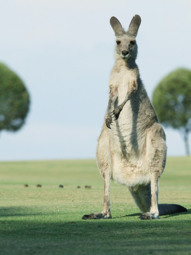 The 8 Best Places To Live In Australia For Expats Pacific Prime's Blog