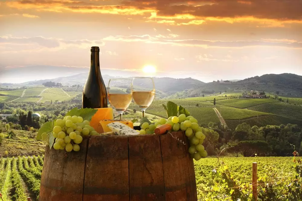 A vineyard in the Chianti region of Tuscany Italy