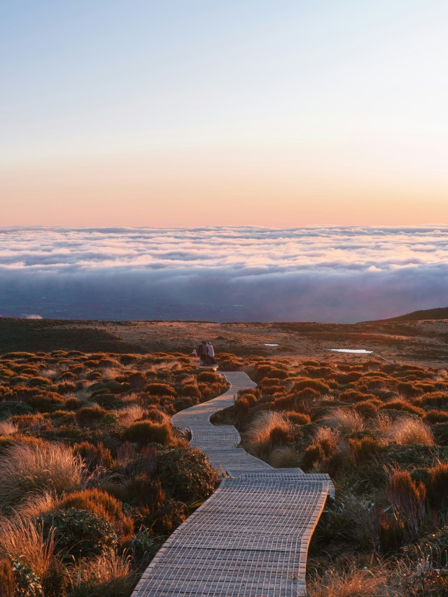 The Best Places To Live In New Zealand For Expats Pacific Prime's Blog