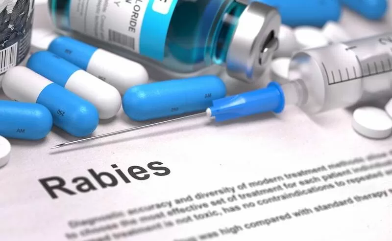 Rabies is a disease that is a concern for travelers
