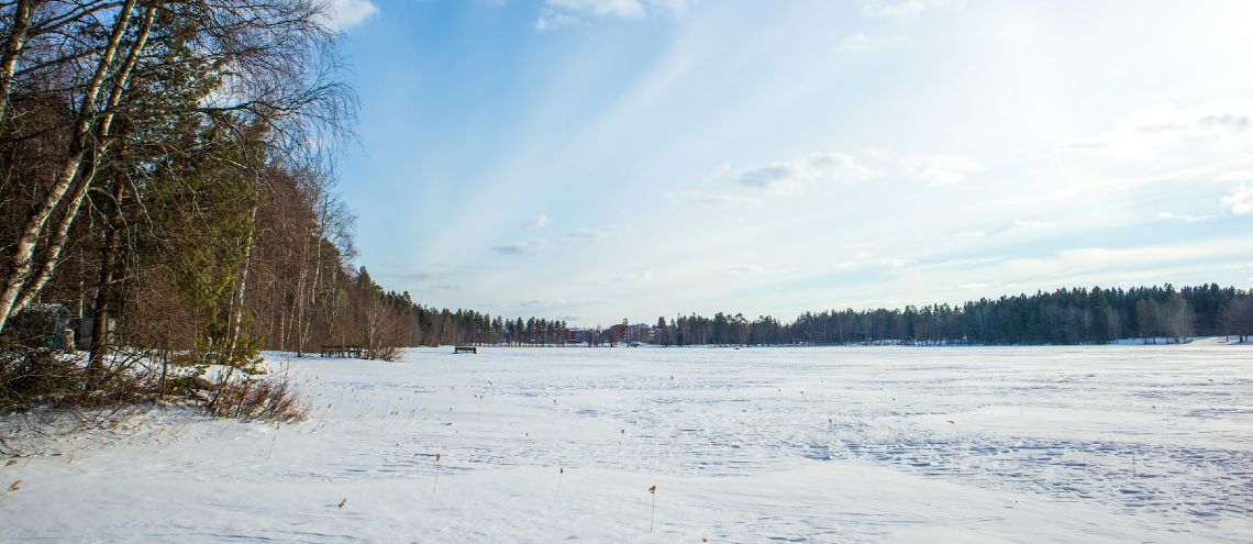 Umeå is a small city that is close to Finland. It has great education institutes, which is perfect for expat families. 
