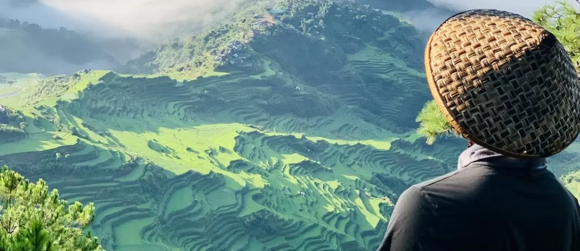 Philippines rice fields 