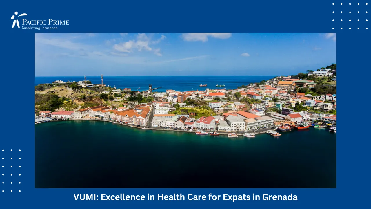 Image of Aerial View Of Grenada City Along The Oceanfront with text overlay of "VUMI: Excellence in Health Care for Expats in Grenada"