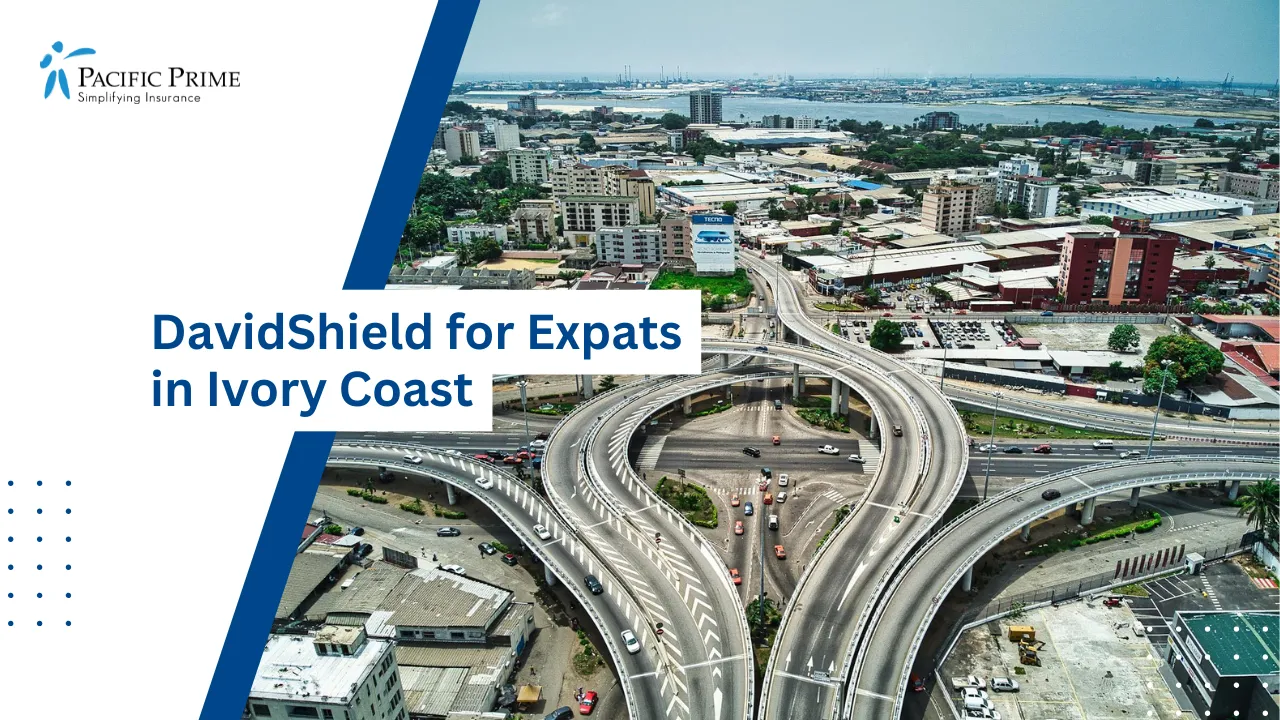 Image of Aerial View Of Highways And Flyovers In Abidjan City with text overlay of "DavidShield for Expats in Ivory Coast"