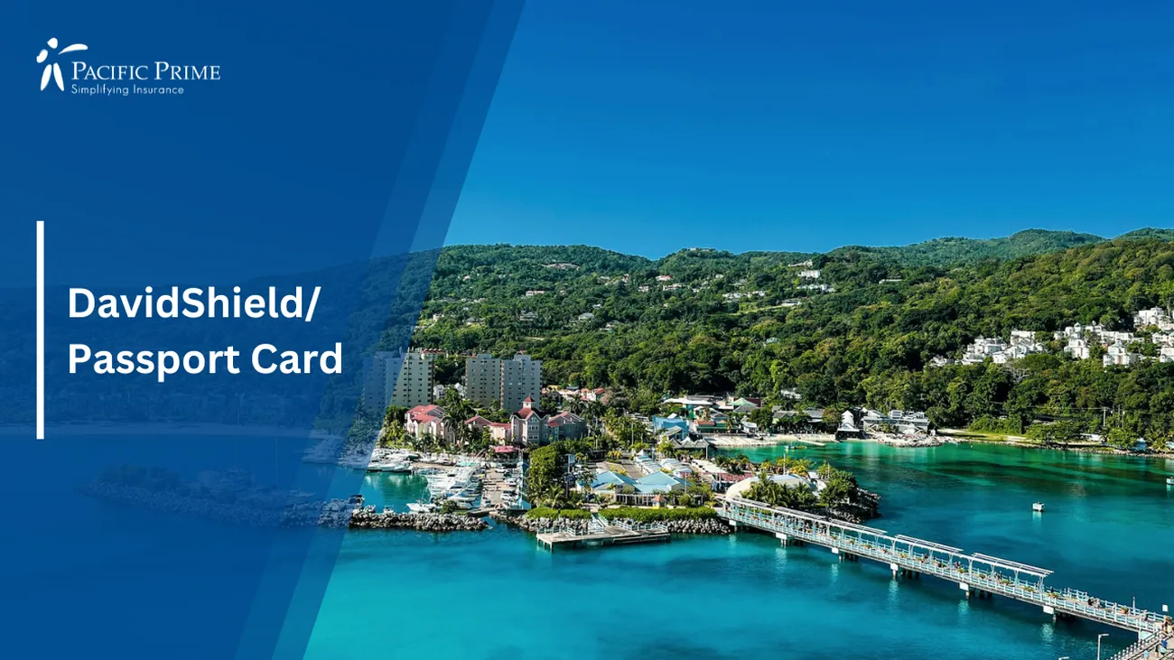 Image of Aerial View Of Jamaica Cruise Port And Bridge Over The Harbor with text overlay of "DavidShield/Passport Card"