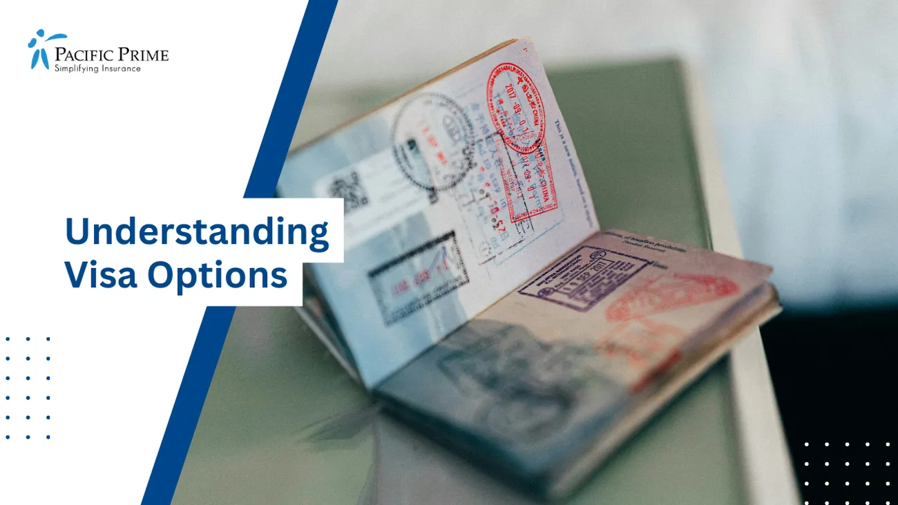 Image of Applying For A Mexico Visa with text overlay of "Understanding Visa Options"