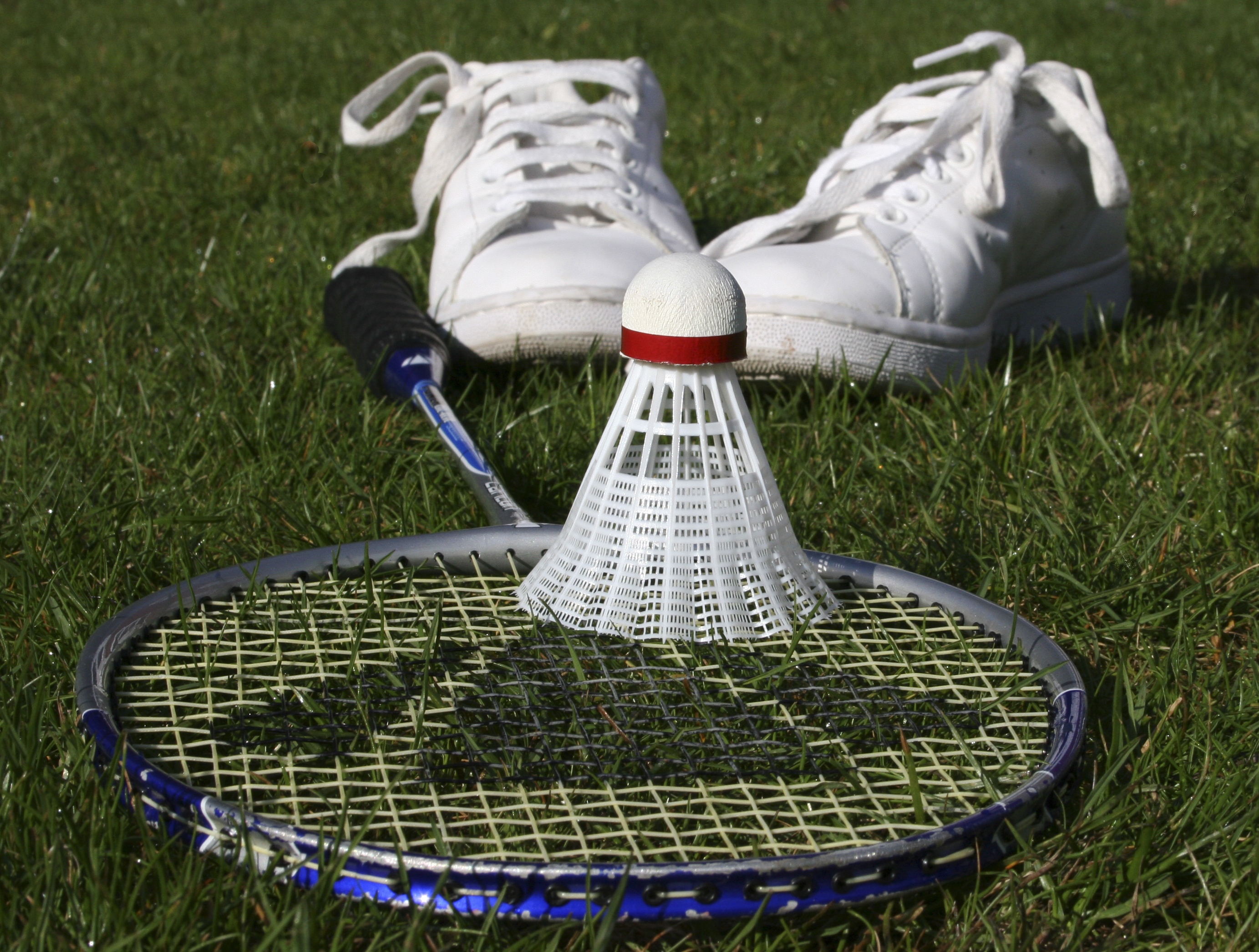 hobby badminton essays hobby badminton essays