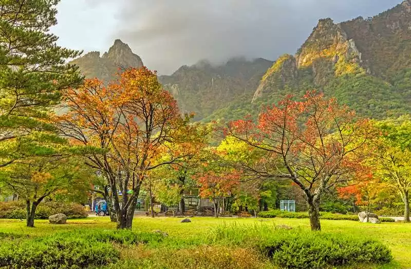 best places to live in ulsan