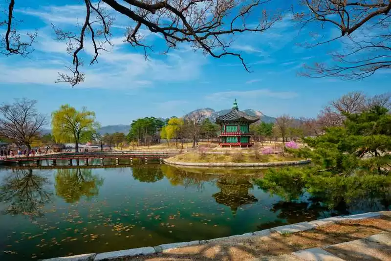 Best Places For Expats To Live In South Korea