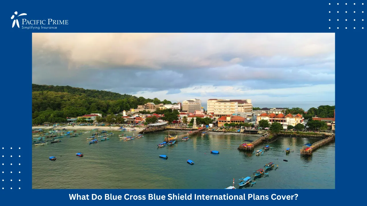 Image of Boats And Seaside Buildings Along Pangandaran&rsquo;s Sunlit Coastline In West Java with text overlay of "What Do Blue Cross Blue Shield International Plans Cover?"