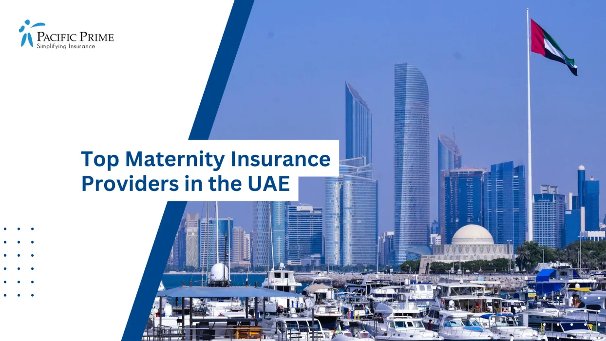 Image of Boats Docked Along A Peaceful Harbor Waterfront In Abu Dhabi, United Arab Emirates with text overlay of "Top Maternity Insurance Providers in the UAE"