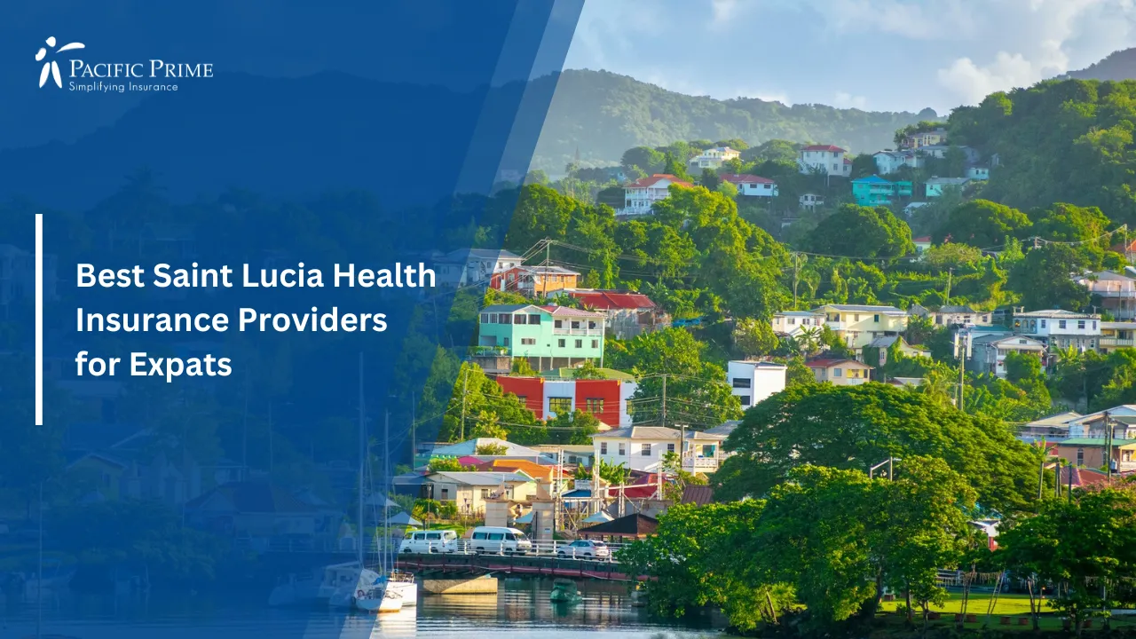 Image of Boats Floating On A Calm River In Castries, Saint Lucia with text overlay of "Best Saint Lucia Health Insurance Providers for Expats"