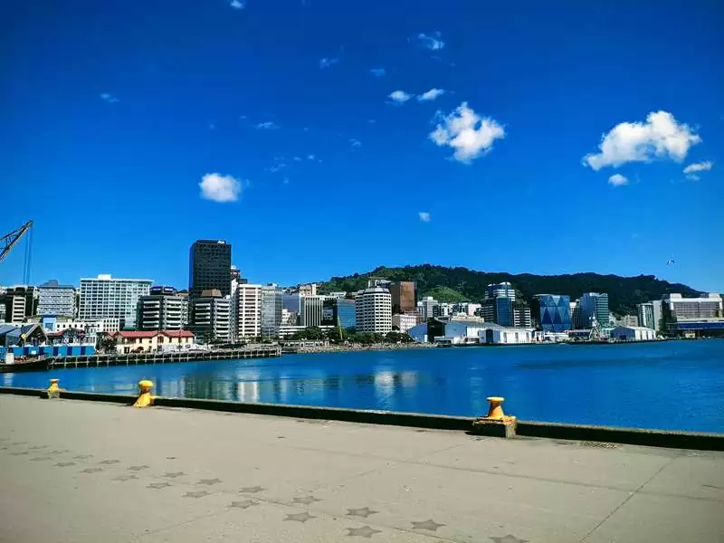 Breathtaking Wellington Cityscape