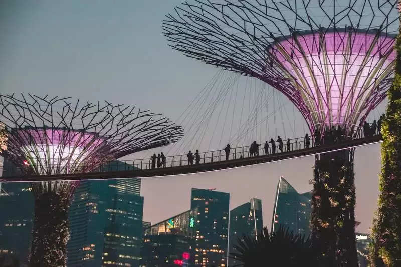 Bridge Gathering In Singapore