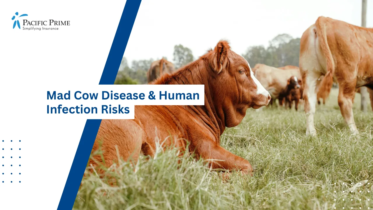 Terrifying Diseases That Shaped Human History