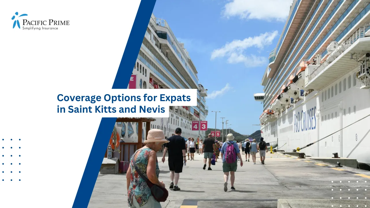 Image of Bustling Basseterre Cruise Port With Tourists And Large Cruise Ships with text overlay of "Coverage Options for Expats in Saint Kitts and Nevis"