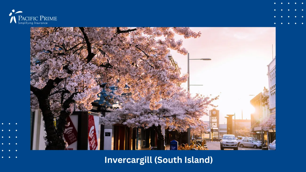 Image of Cherry Blossoms In Full Bloom Near A Building In Invercargill with text overlay of "Invercargill (South Island)"