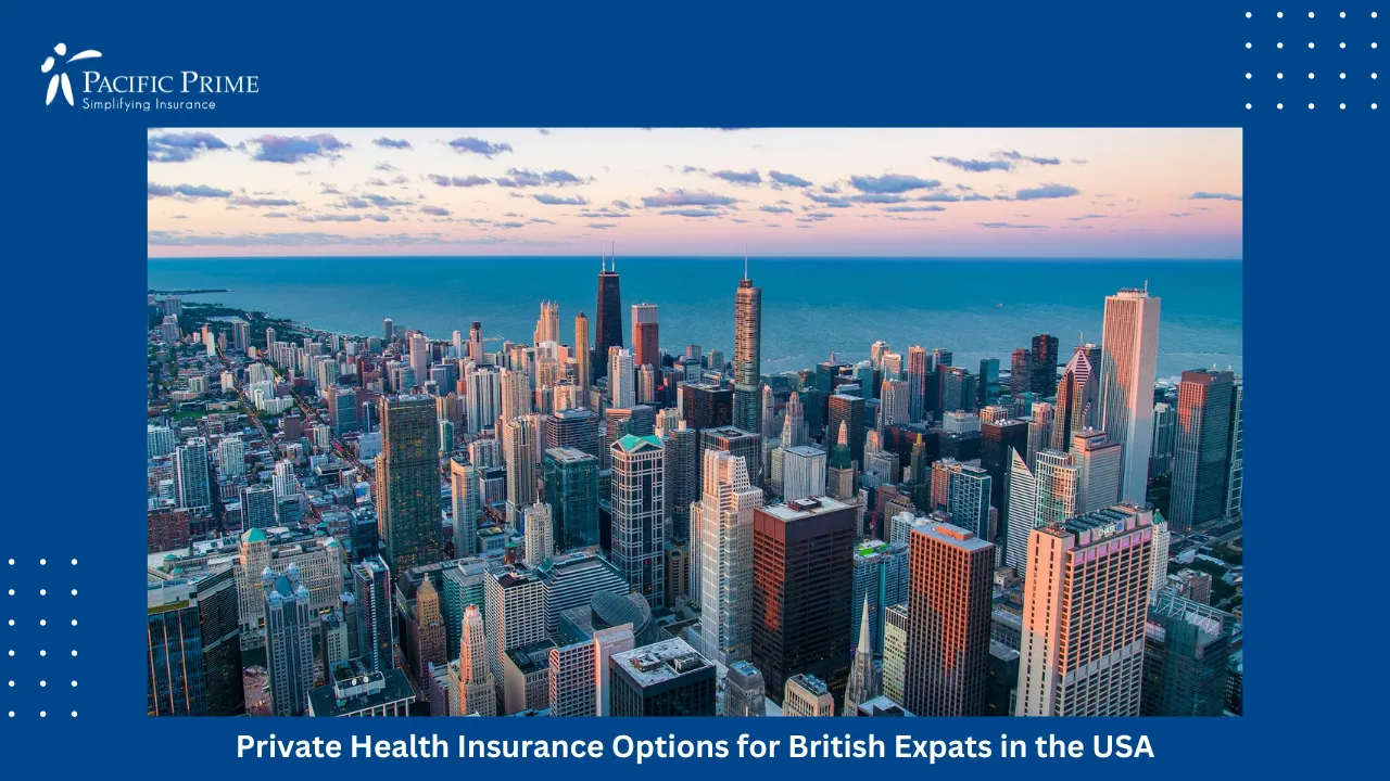 Image of Chicago Waterfront Skyline With Prominent Skyscrapers Near The Willis Tower Skydeck with text overlay of "Private Health Insurance Options for British Expats in the USA"