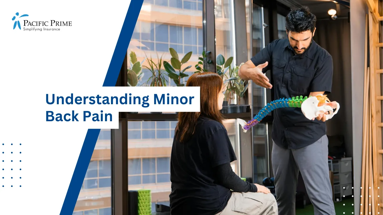 Image of Chiropractor Holding Spine Model For Demonstration with text overlay of "Understanding Minor Back Pain"