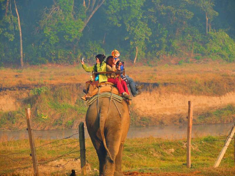 Chitwan National Park: Nature's Paradise In Nepal