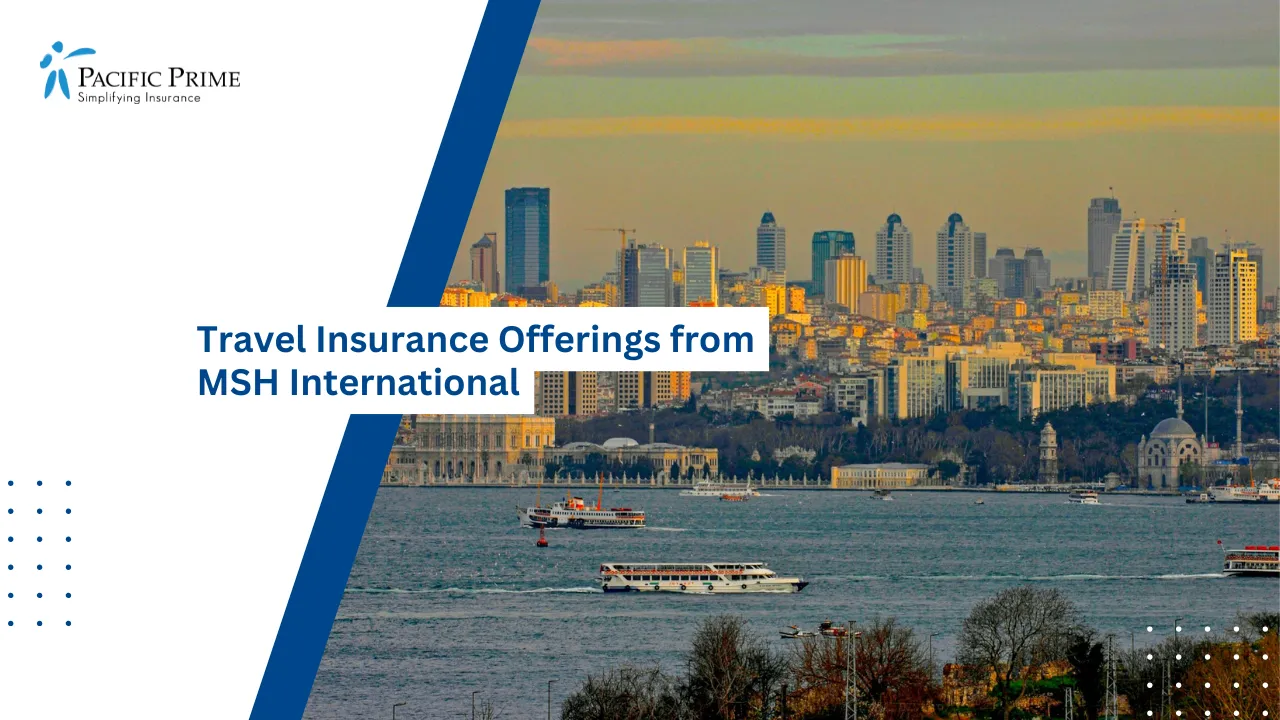 Image of City And Waterfront View Near Ahırkapı Lighthouse In Istanbul with text overlay of "Travel Insurance Offerings from MSH International"
