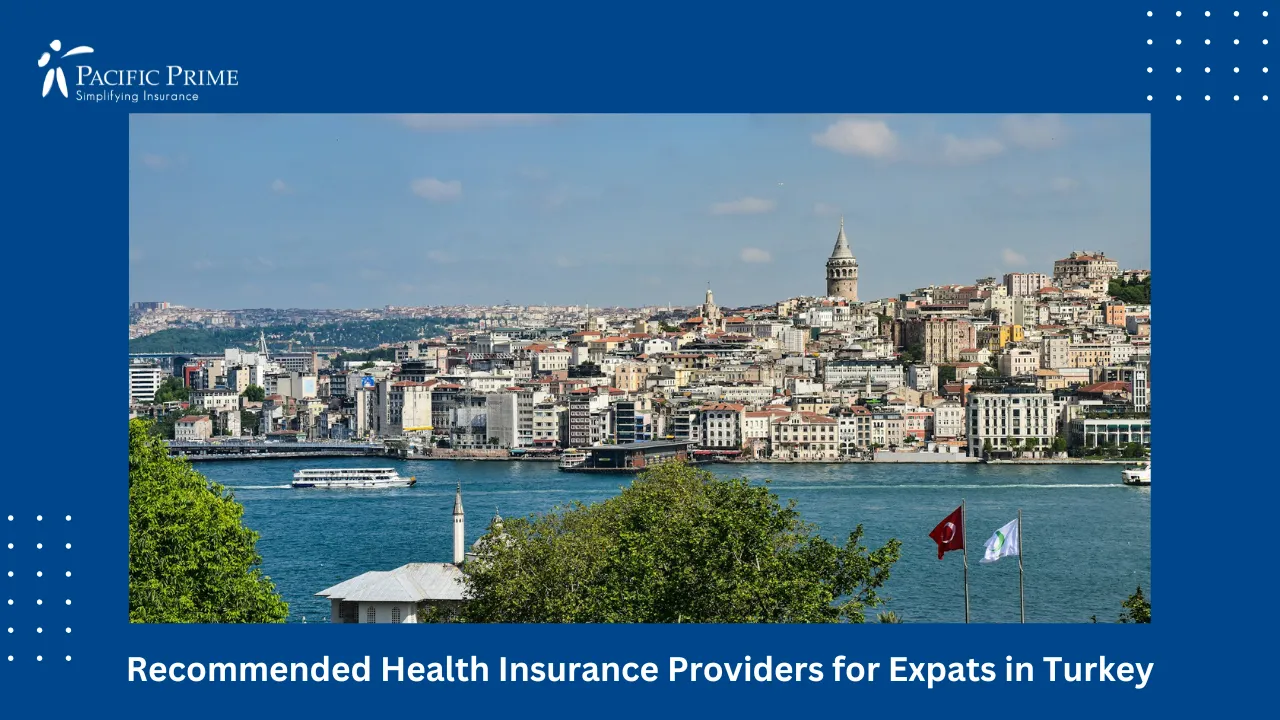 Image of City Skyline Across Water Under Clear Sky, Istanbul, Turkey with text overlay of "Recommended Health Insurance Providers for Expats in Turkey"
