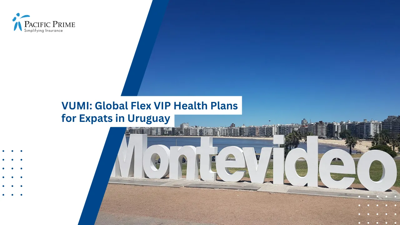 Image of Cityscape Of Montevideo With Coastal View In Uruguay with text overlay of "VUMI: Global Flex VIP Health Plans for Expats in Uruguay"