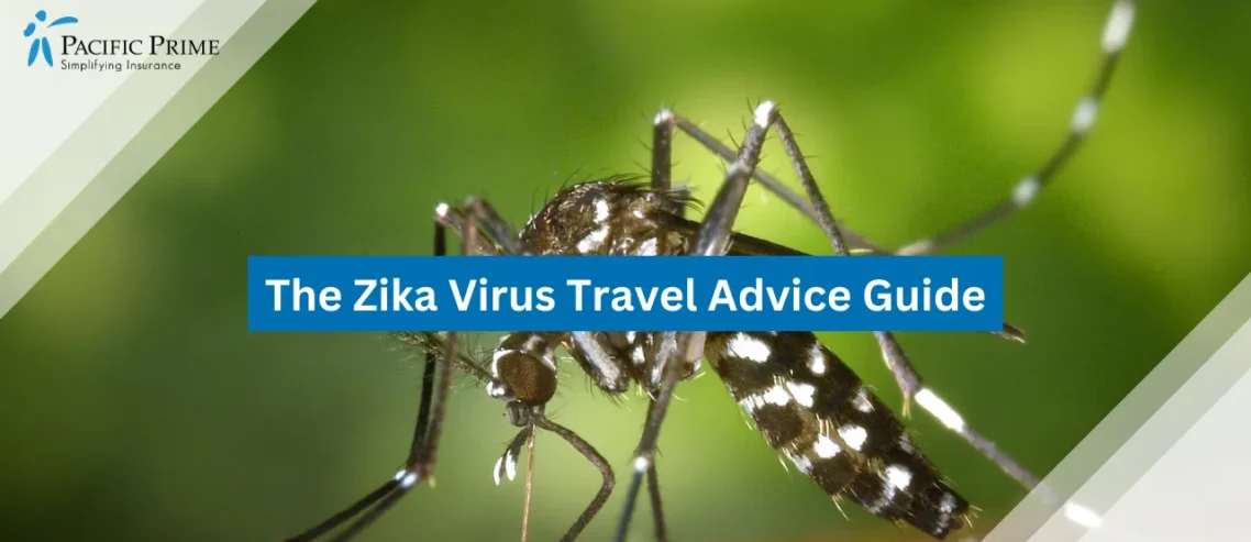 Image of Close-up Of Black And White Mosquito On Skin with text overlay of "The Zika Virus Travel Advice Guide"