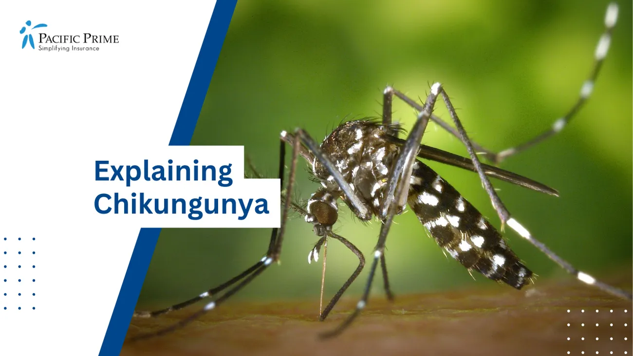 Image of Close-up Of Black And White Mosquito On Skin with text overlay of "Explaining Chikungunya"