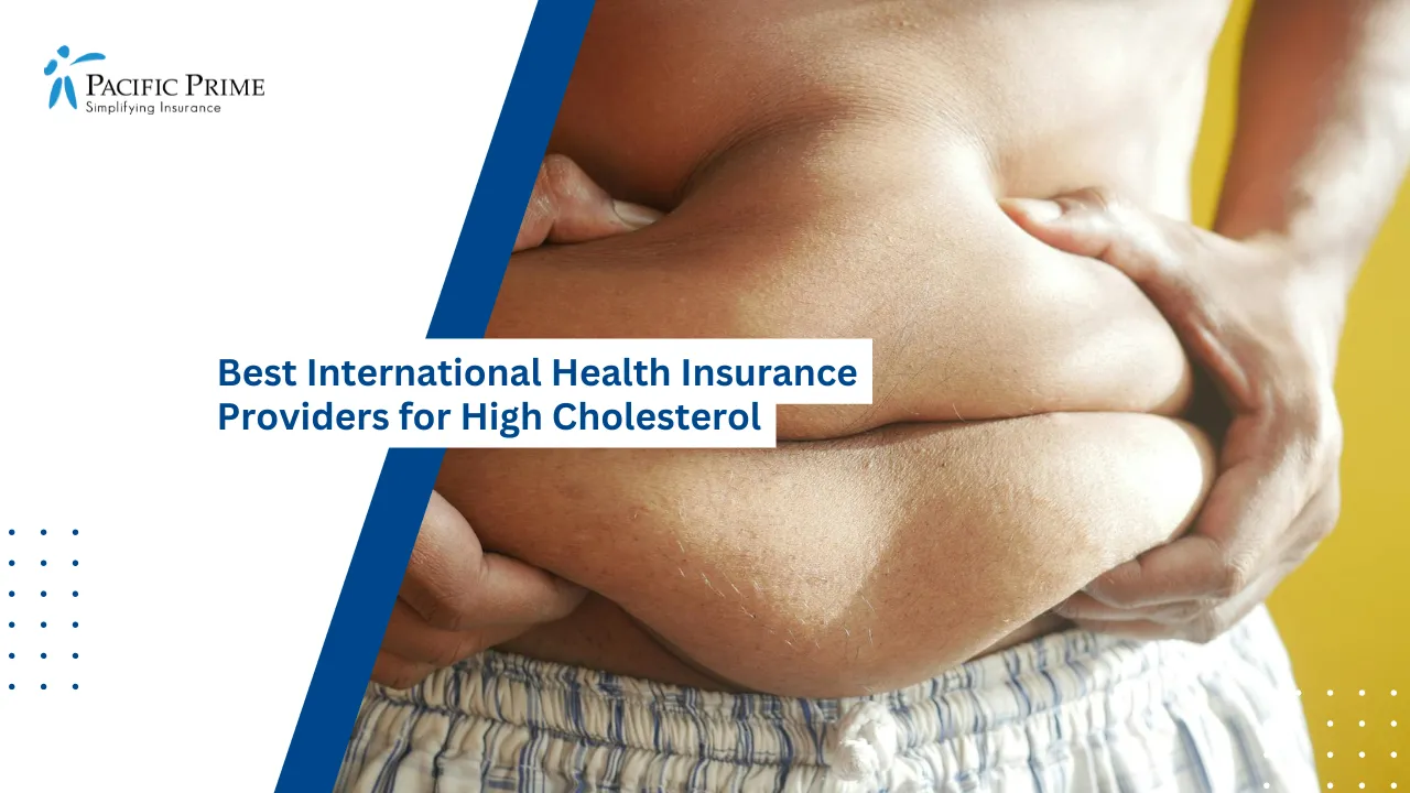 Image of Close-up Of Person Grabbing Belly Fat with text overlay of "Best International Health Insurance Providers for High Cholesterol"