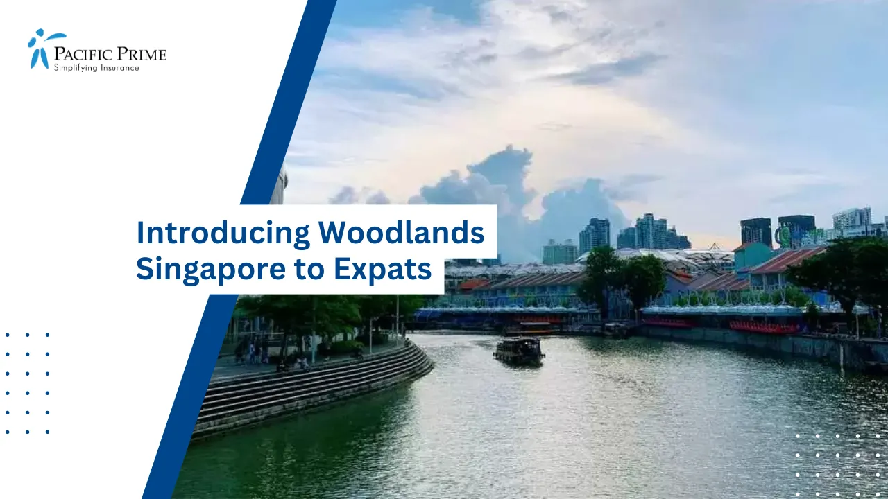 Image of Coastal Seaway Stretching Alongside The Green Shoreline Of Woodlands, Singapore with text overlay of "Introducing Woodlands Singapore to Expats"