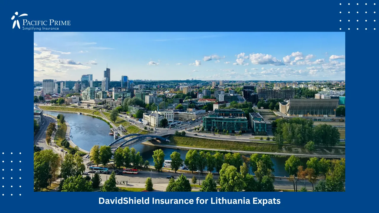 Image of Concrete Bridge Spanning A River In Vilnius Under Daylight with text overlay of "DavidShield Insurance for Lithuania Expats"