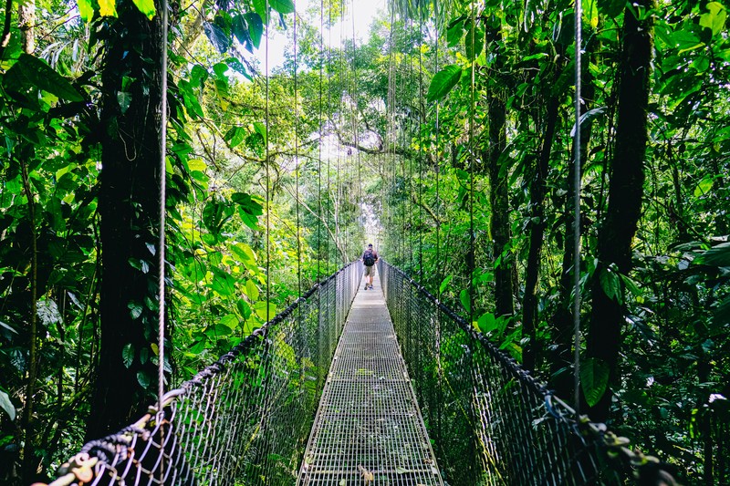 Costa Rica Jungle Bridge