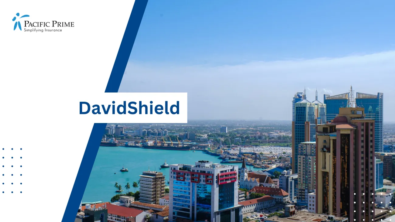 Image of Dar Es Salaam City View With A Waterfront In Tanzania On A Clear Day with text overlay of "DavidShield"