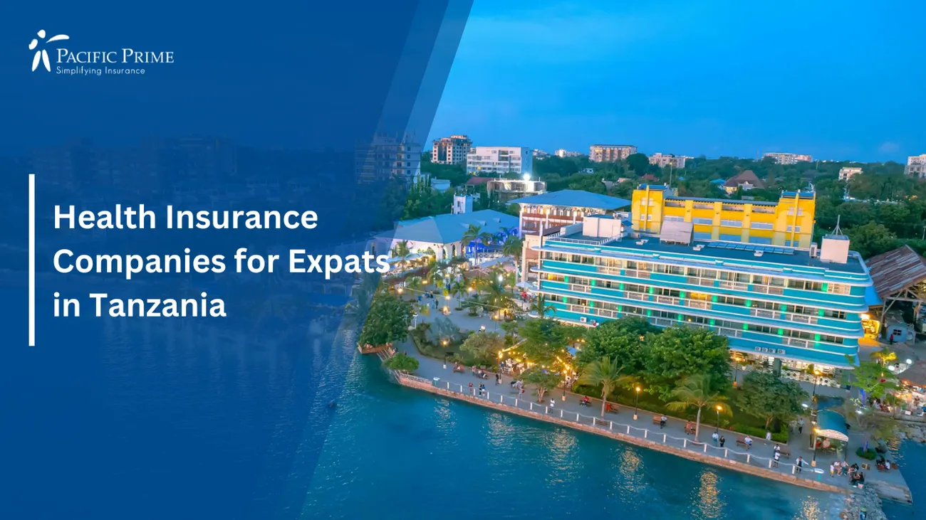 Image of Dar Es Salaam Town Along The Riverbank At Dusk In Tanzania with text overlay of "Health Insurance Companies for Expats in Tanzania"