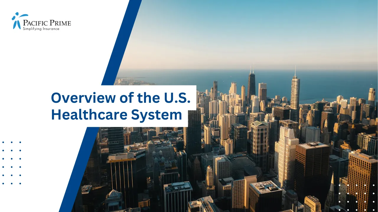 Image of Daytime Aerial View Of The Chicago Skyline In The United States with text overlay of "Overview of the U.S. Healthcare System"
