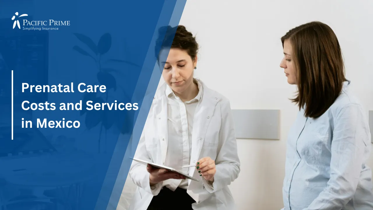 Image of Doctor Consulting Pregnant Woman During Ultrasound In Clinic with text overlay of "Prenatal Care Costs and Services in Mexico"