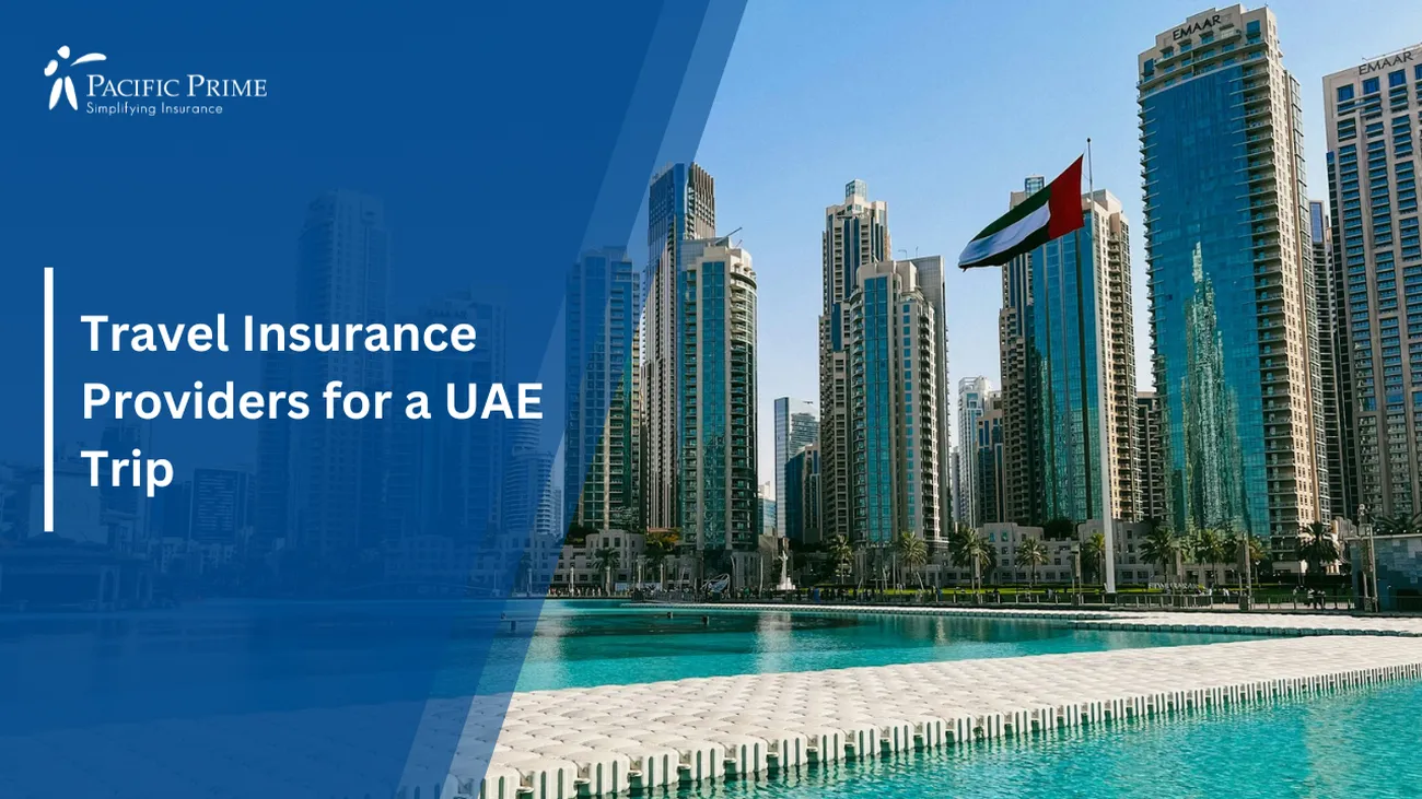 Uae Travel Insurance Companies 