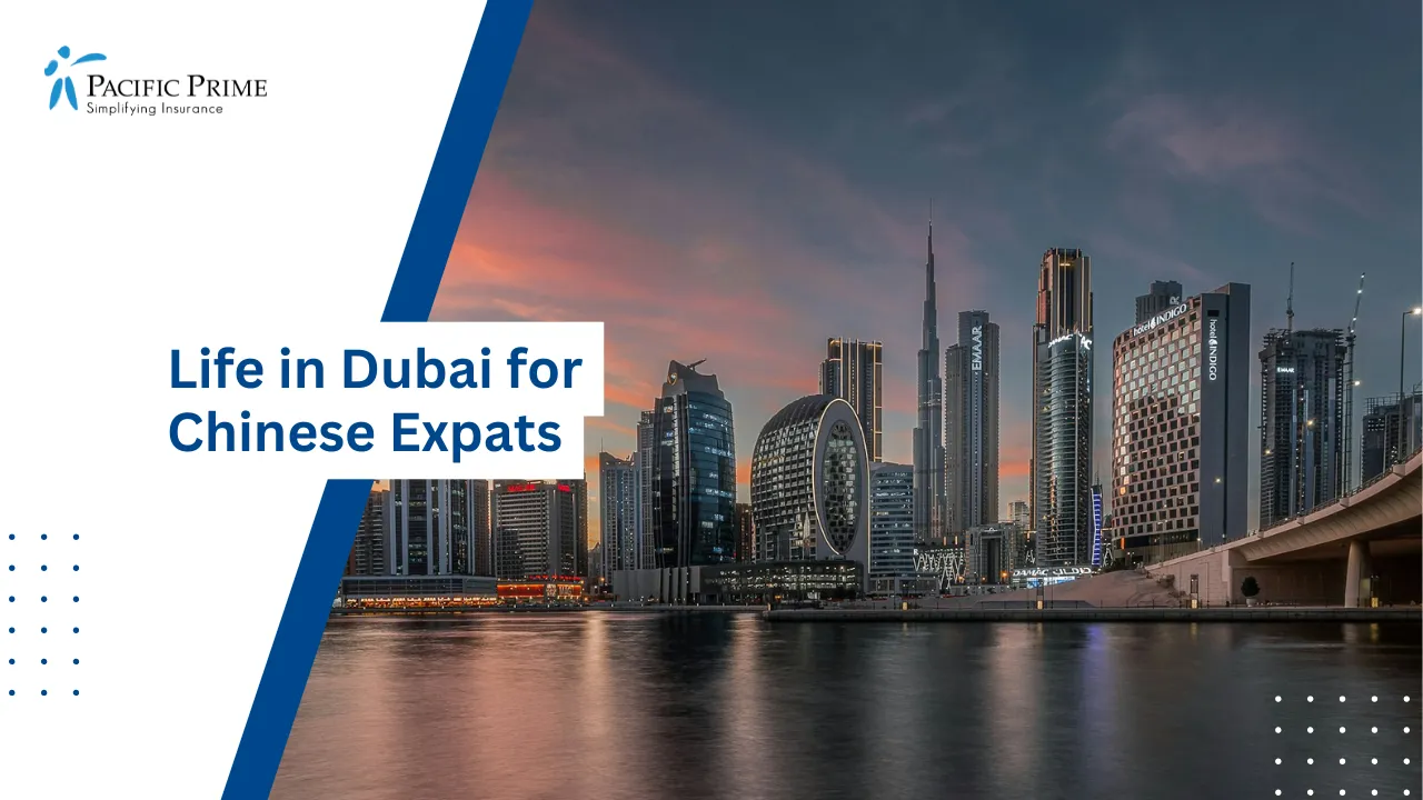 Image of Dubai City Skyline At Sunset with text overlay of "Life in Dubai for Chinese Expats"