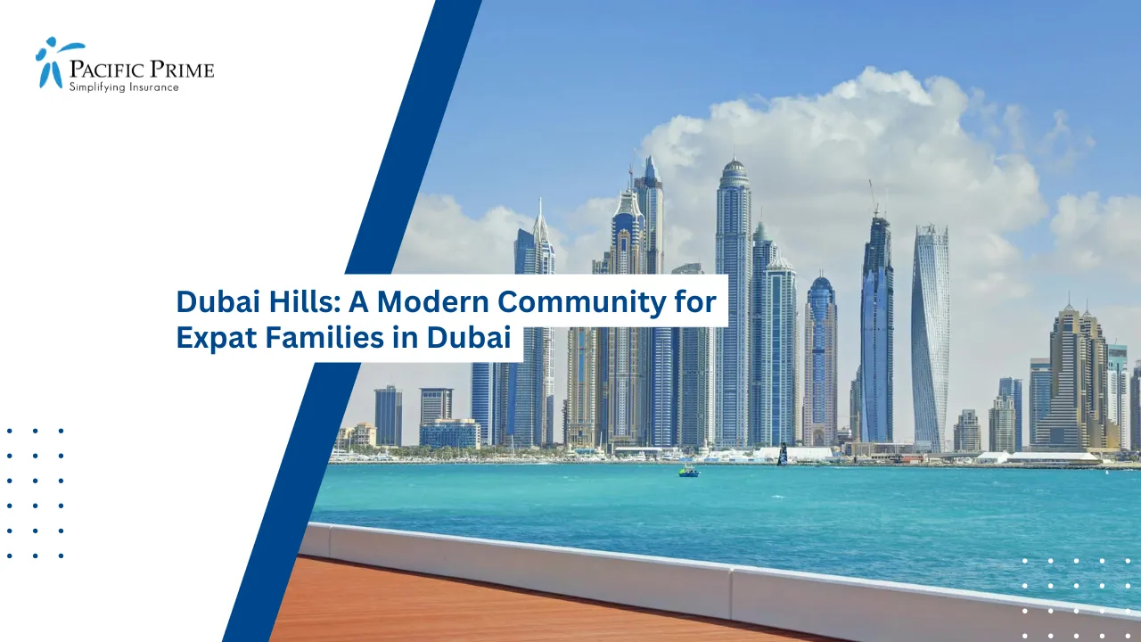 Image of Dubai City Skyline Overlooking The Sea with text overlay of "Dubai Hills: A Modern Community for Expat Families in Dubai"