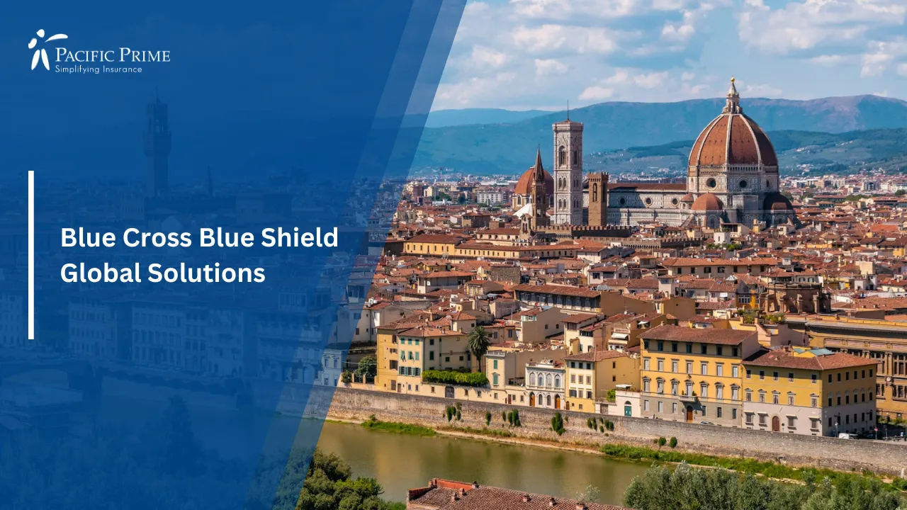 Image of Florence Skyline Viewed From Piazzale Michelangelo, Tuscany, Italy with text overlay of "Blue Cross Blue Shield Global Solutions"