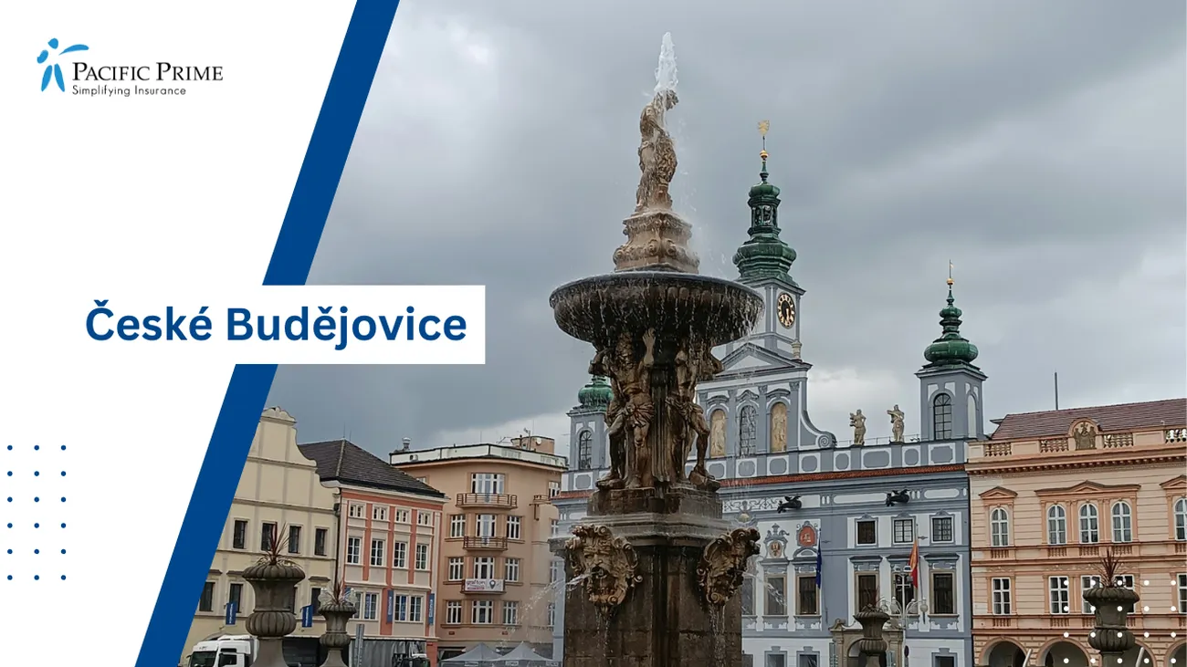 Image of Fountain Gracing The Heart Of České Budějovice In Czech Republic with text overlay of "České Budějovice"