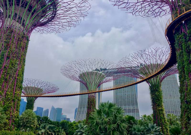 Gardens By The Bay, Singapore: Serene Expat Insurance Claims Hub