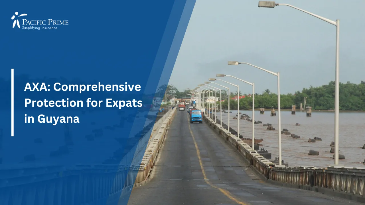 Image of Gray Concrete Bridge Spanning A River In Guyana During Daytime with text overlay of "AXA: Comprehensive Protection for Expats in Guyana"